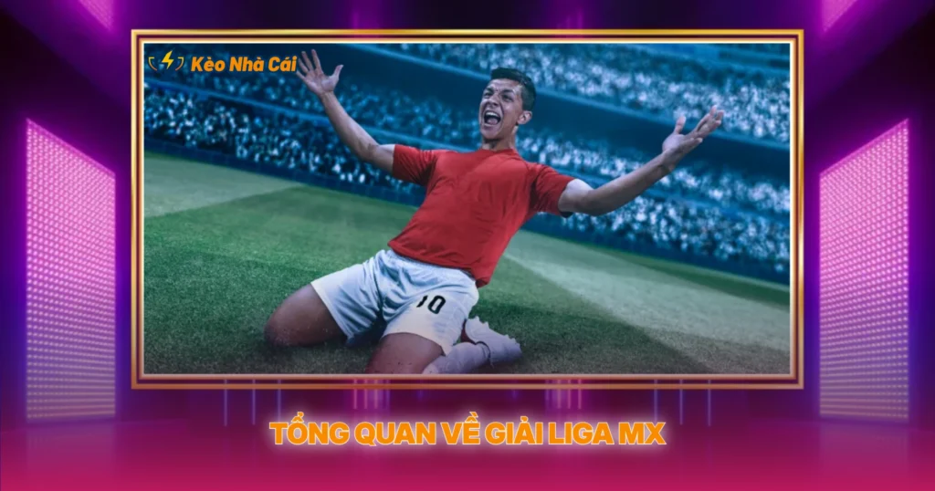 Giải Liga MX | Phân Tích Kèo Nhà Cái Bóng Đá Mexico 2 Tổng Quan Về Giải Liga MX