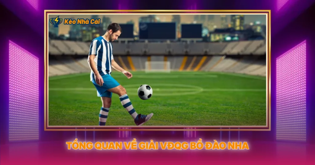 Giải VĐQG Bồ Đào Nha | Phân Tích Kèo Nhà Cái Primeira Liga 2 Tổng Quan Về Giải VĐQG Bồ Đào Nha